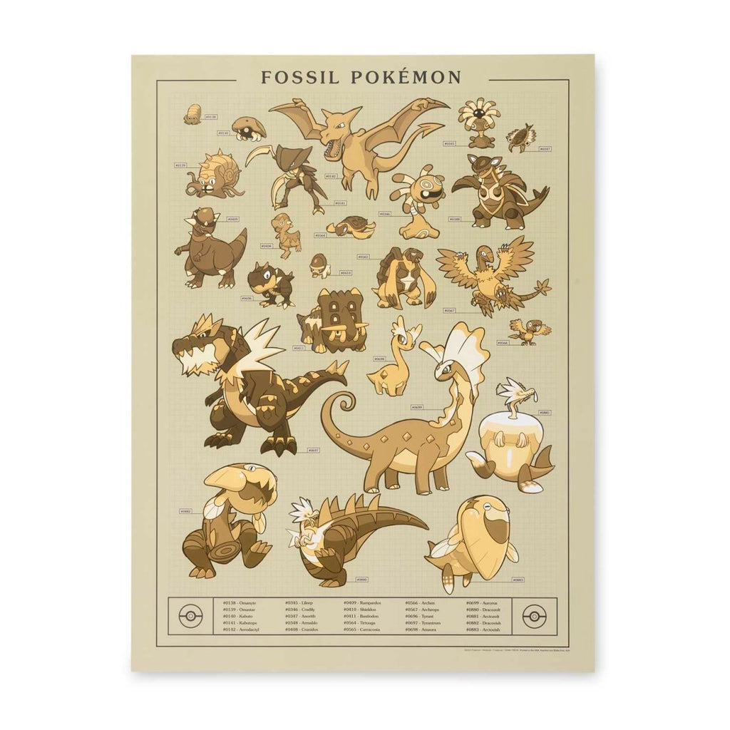 Pokémon Researcher: Fossil Pokémon Poster