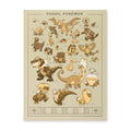 Pokémon Researcher: Fossil Pokémon Poster