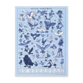 Pokémon Researcher: Avian Pokémon Poster