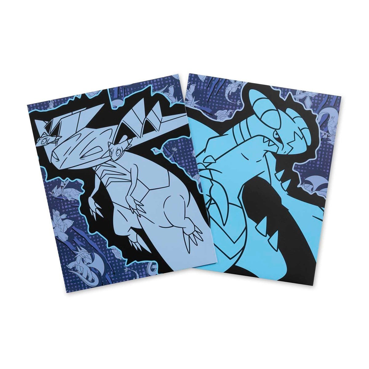 Dragon Type Pokémon Fundamentals Folders (2-Pack)