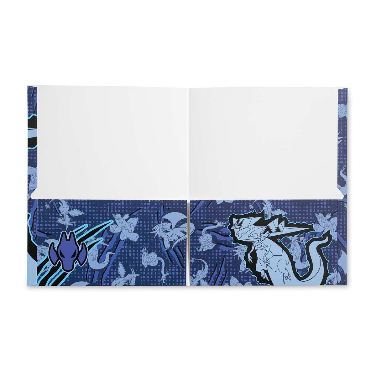 Dragon Type Pokémon Fundamentals Folders (2-Pack)