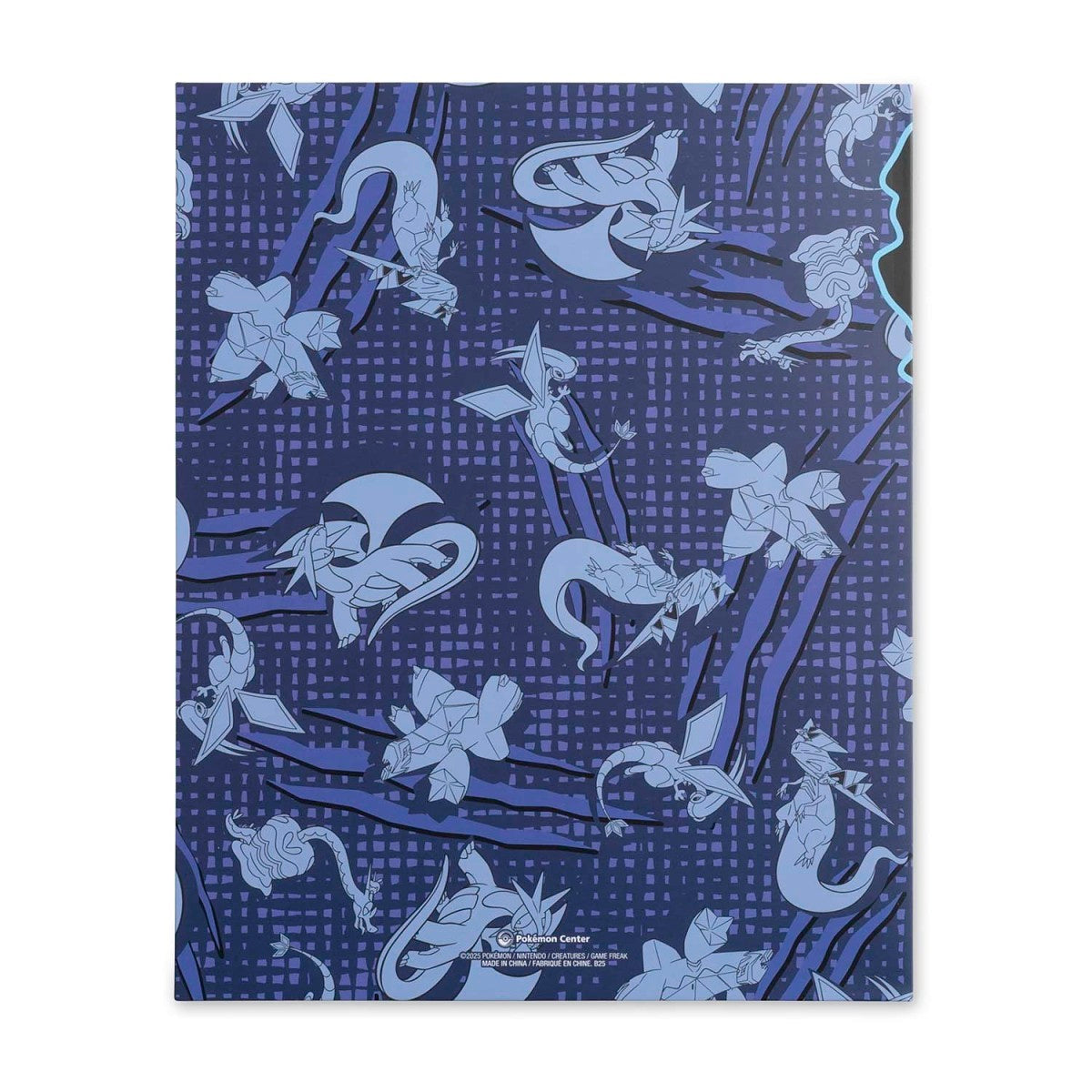 Dragon Type Pokémon Fundamentals Folders (2-Pack)