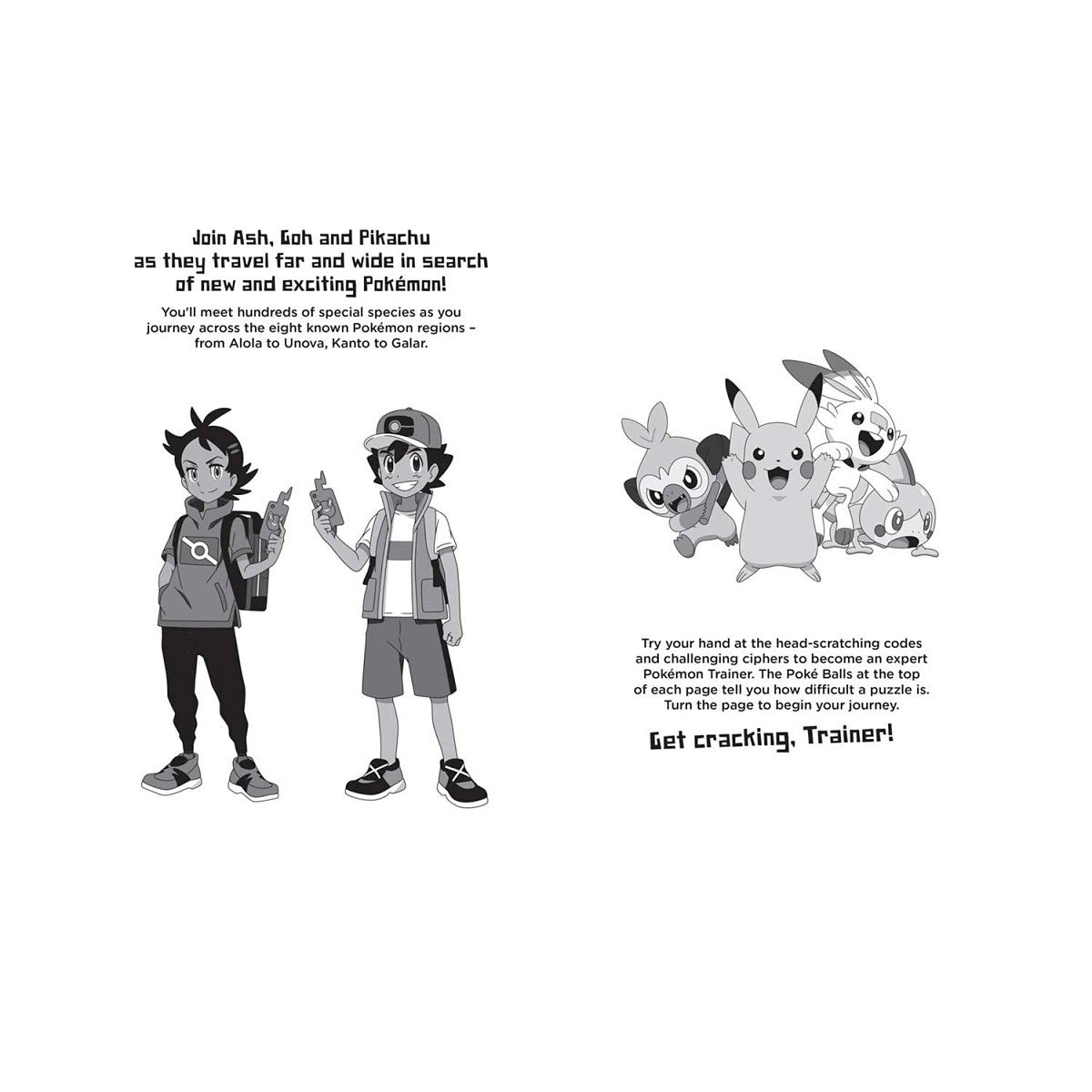 Pokémon Code Breakers