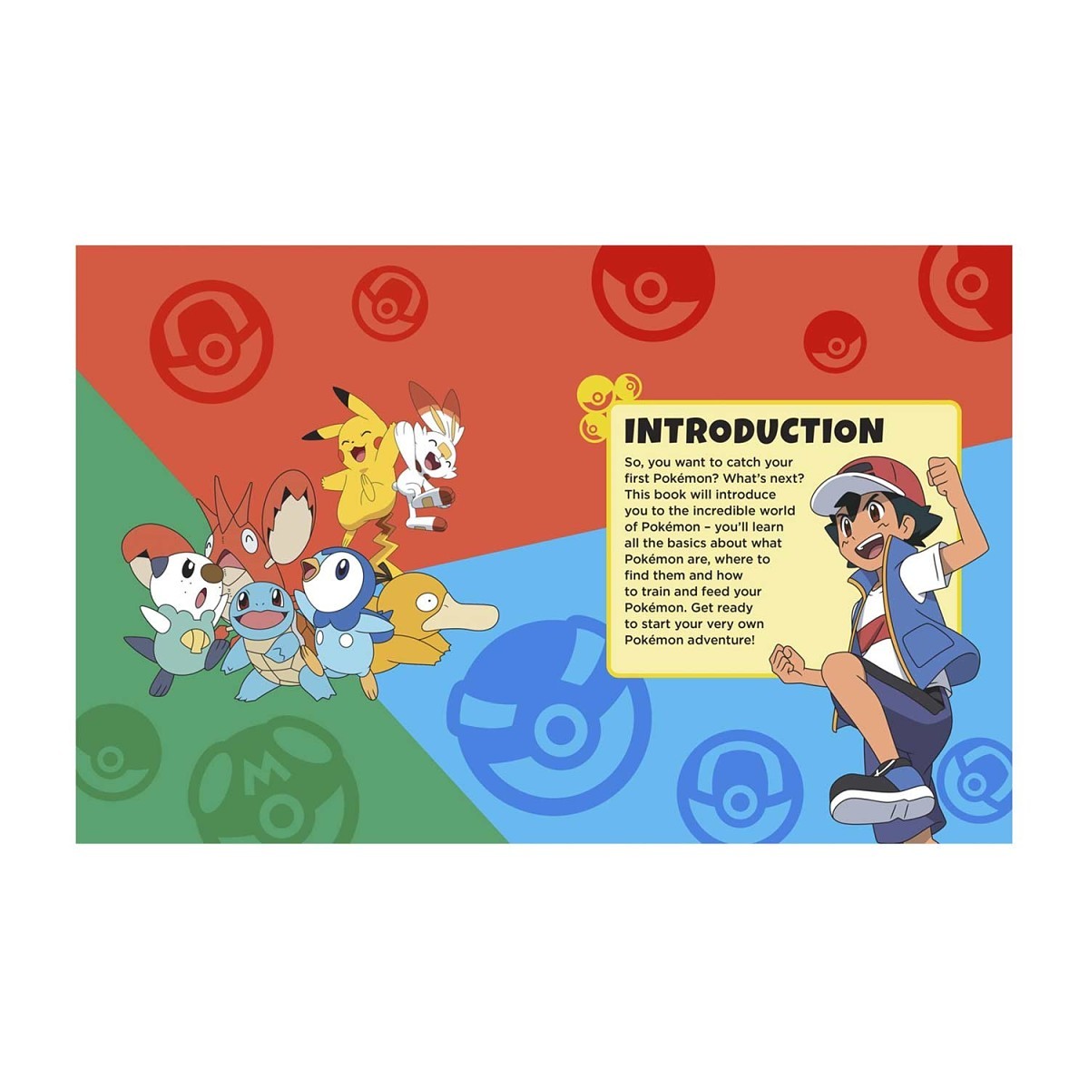 Pokémon: Beginner’s Guide