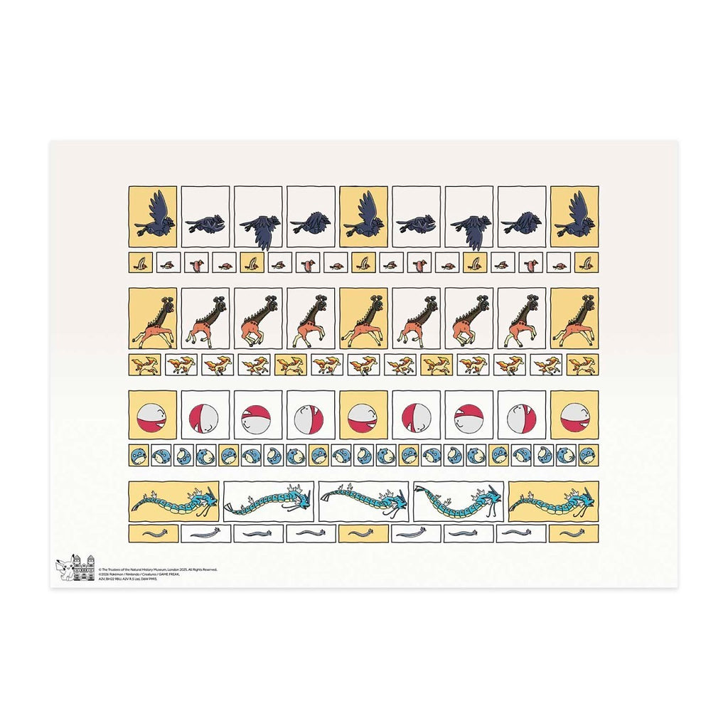 Pokémon × Natural History Museum: Size & Movement Of Pokémon Print