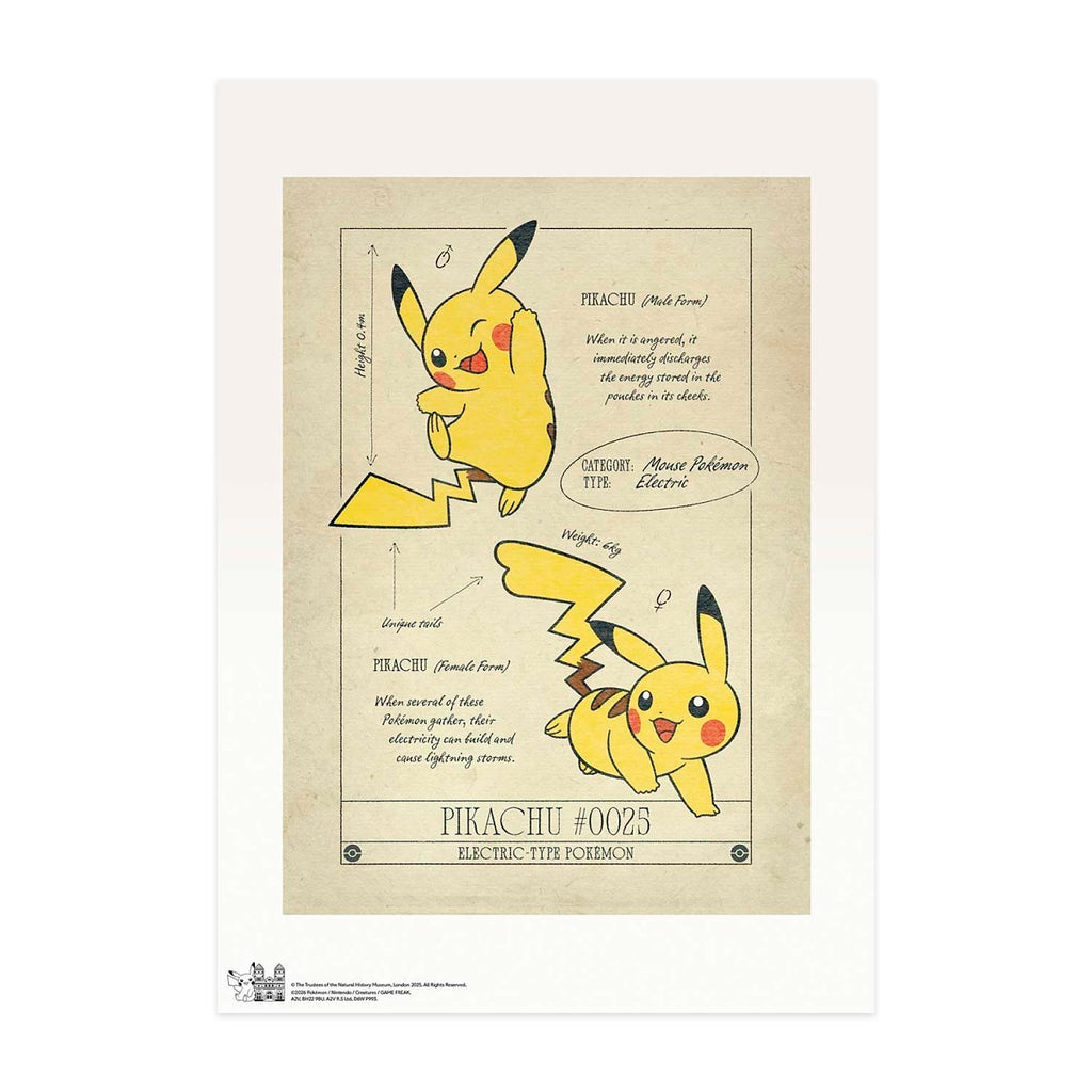 Pokémon × Natural History Museum: Pikachu Scientific Drawing Print