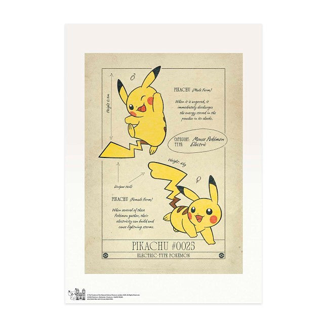 Pokémon × Natural History Museum Notebook
