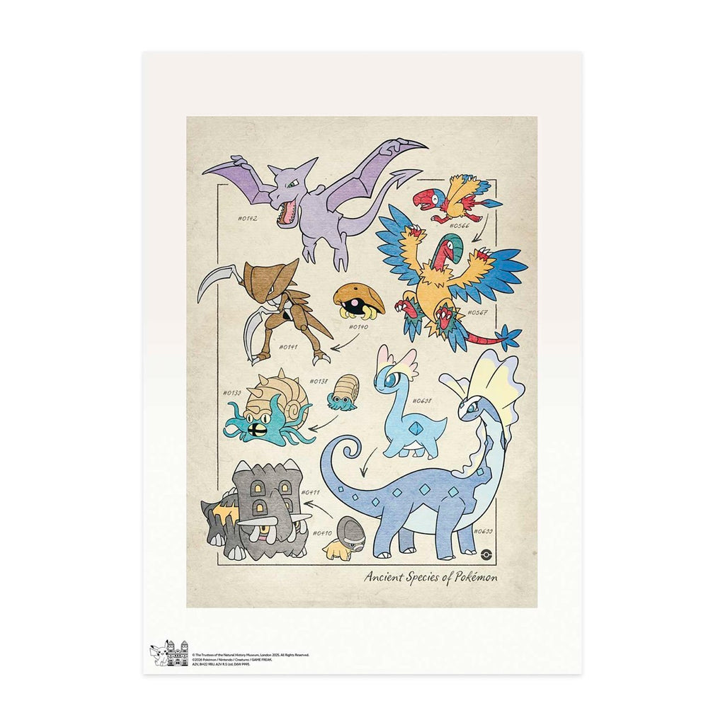 Pokémon × Natural History Museum: Ancient Species Of Pokémon Scientific Drawing Print