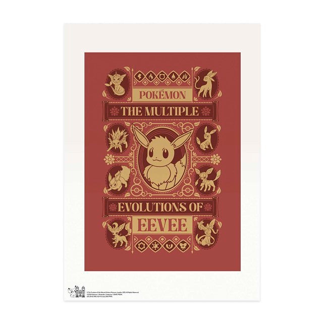 Sinnoh Pokémon Region Maps Poster