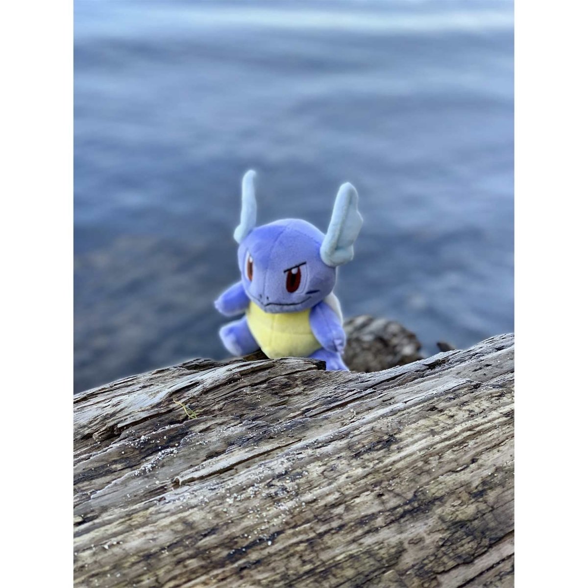 Wartortle Sitting Cuties Plush - 6 In.