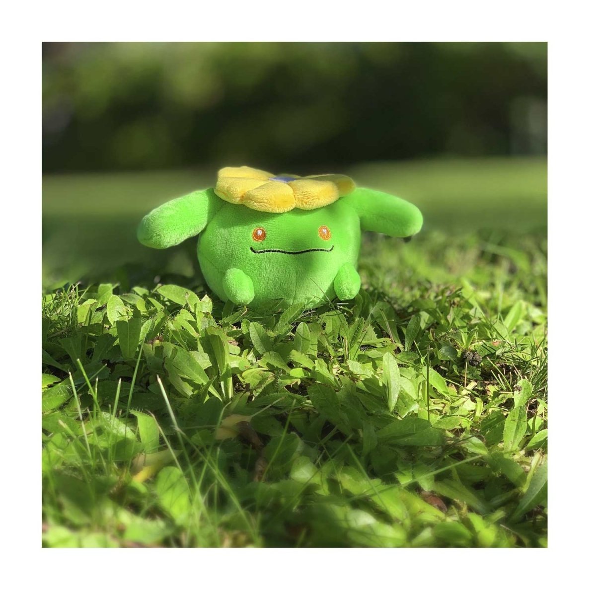 Skiploom Sitting Cuties Plush - 6 In.