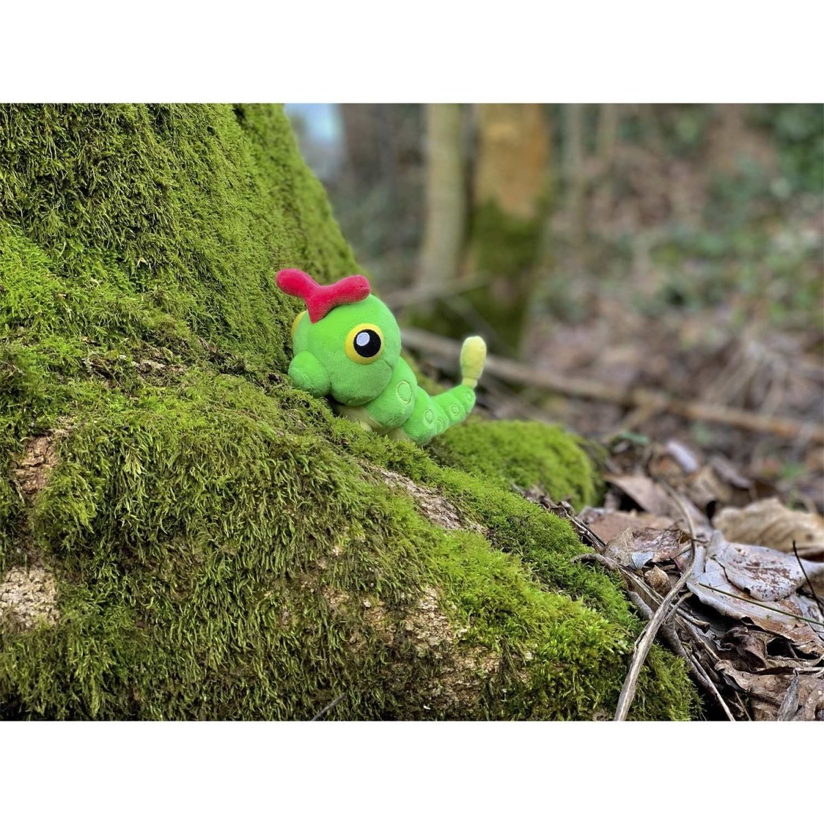 Caterpie Sitting Cuties Plush - 5 ½ In.