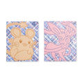 Fairy Forces Pokémon Fundamentals Folders (2-Pack)