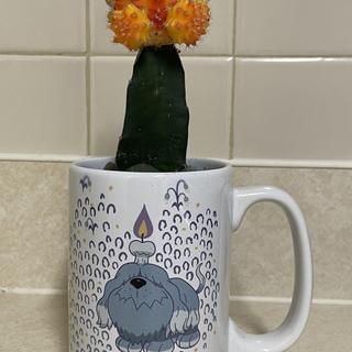 Greavard White 15 Oz. Mug
