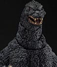 Godzilla 1989 S.H. Monster Arts Action Figure Godzilla vs. Biollante Movie Graphic Plus Bandai Tamashii Nations