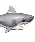 Jaws Oversized POP! Movies Vinyl Figure Jaws Funko
