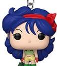 Dragon Ball POP! Vinyl Keychains Lunch Display 12 Funko
