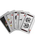 Jurassic Park Playing Cards Gift Shop Display 12 FaNaTtik