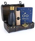 Harry Potter Gift Set Trouble Finds Me Pyramid International
