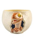 Jurassic Park 3D Bowl Grupo Erik