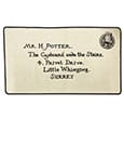 Harry Potter Carpet Letter of Acceptance Groovy