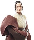 Star Wars The Acolyte Black Series Action Figure Jedi Master Indara Hasbro