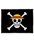 One Piece Fleece Blanket Herding