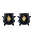 Harry Potter 3D Salt and Pepper Shaker Cauldron Joy Toy (IT)