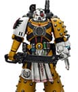 Warhammer 40 000 imperial Fists Action Figure Legion Apothecary Joy Toy (CN)