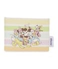 Disney by Loungefly Cardholder Mickey and Friends Rainbow Stripes Loungefly