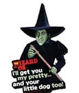 The Wizard of Oz Funky Chunky Magnet I'll Get You... Aquarius