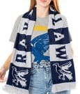 Harry Potter Scarf Ravenclaw CID