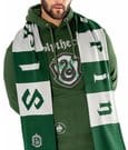Harry Potter Scarf Slytherin Long Length CID
