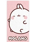 Molang Towel Pink Sakami Merchandise