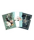 Spy x Family Clearfile 3 Set Season 3 Sakami Merchandise