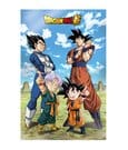 Dragon Ball Super 3D Poster Battle of Gods Goku Vegeta Family SD Toys