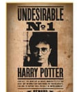 Harry Potter Puzzle Wanted No1 Harry Potter 50 pieces Thumbs Up