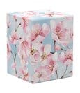 Ultimate Guard RTE Boulder 100+ Floral Places Cherry Blossom Ultimate Guard