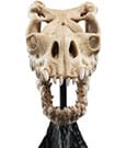 Lord of the Rings Mini Statue Skull of a Fell Beast Weta Workshop