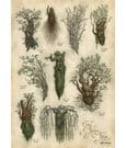 Lord of the Rings Art Print Ent's of Fangorn Forest Weta Workshop