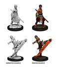 D&D Nolzur's Marvelous Miniatures Unpainted Miniatures Male Half Elf Monk Case 6 Wizkids