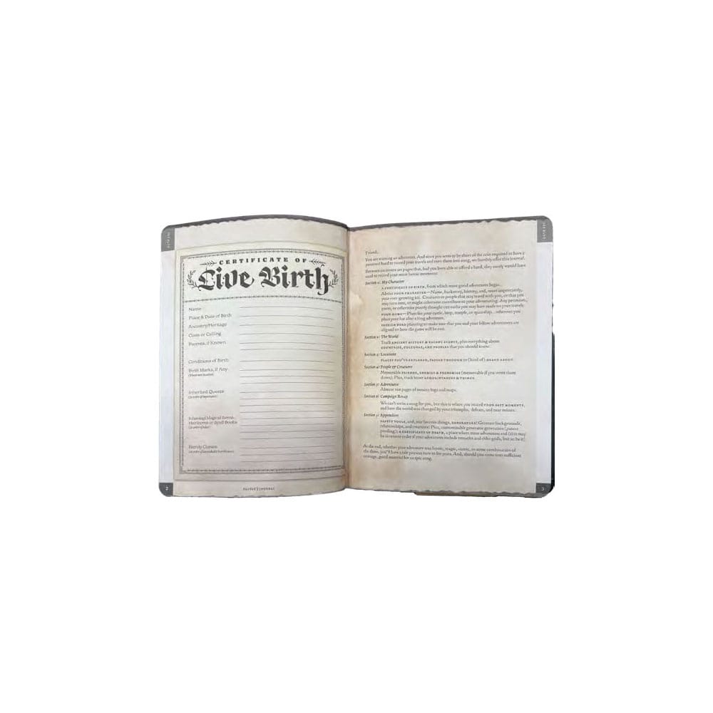 Notebook A5 Player's Journal Beadle & Grimm´s