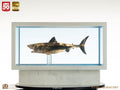 Jaws Maquette 1/18 Jaws Bronze Elite Creature Collectibles