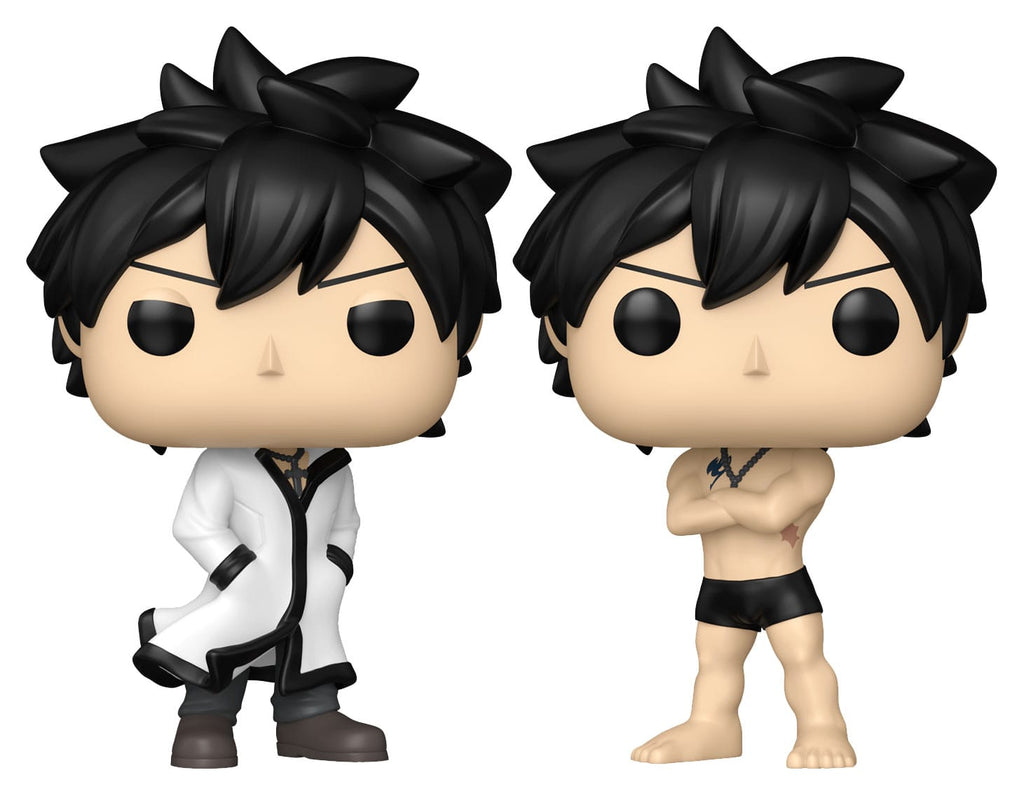 Fairy Tail 100 Year Quest POP! Animation Vinyl Figures Gray w/Chase Assortment 6 Funko