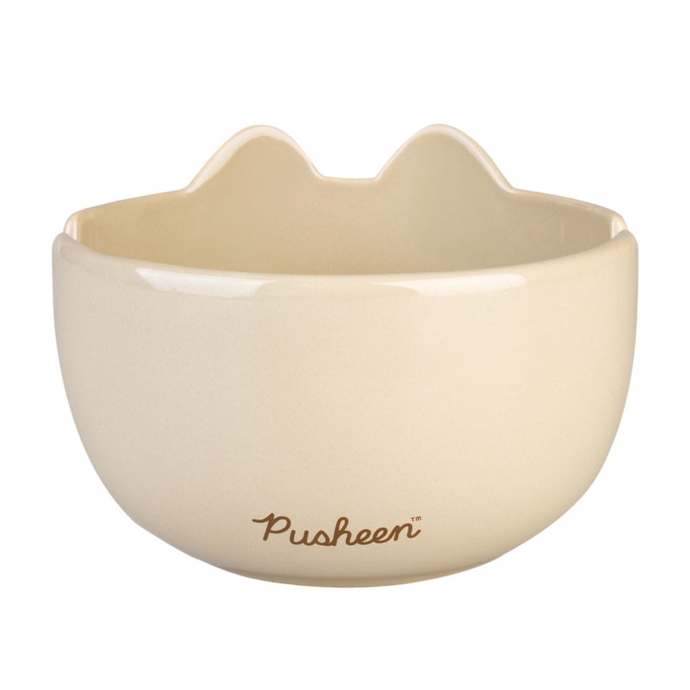Pusheen Ramen Bowl Grupo Erik