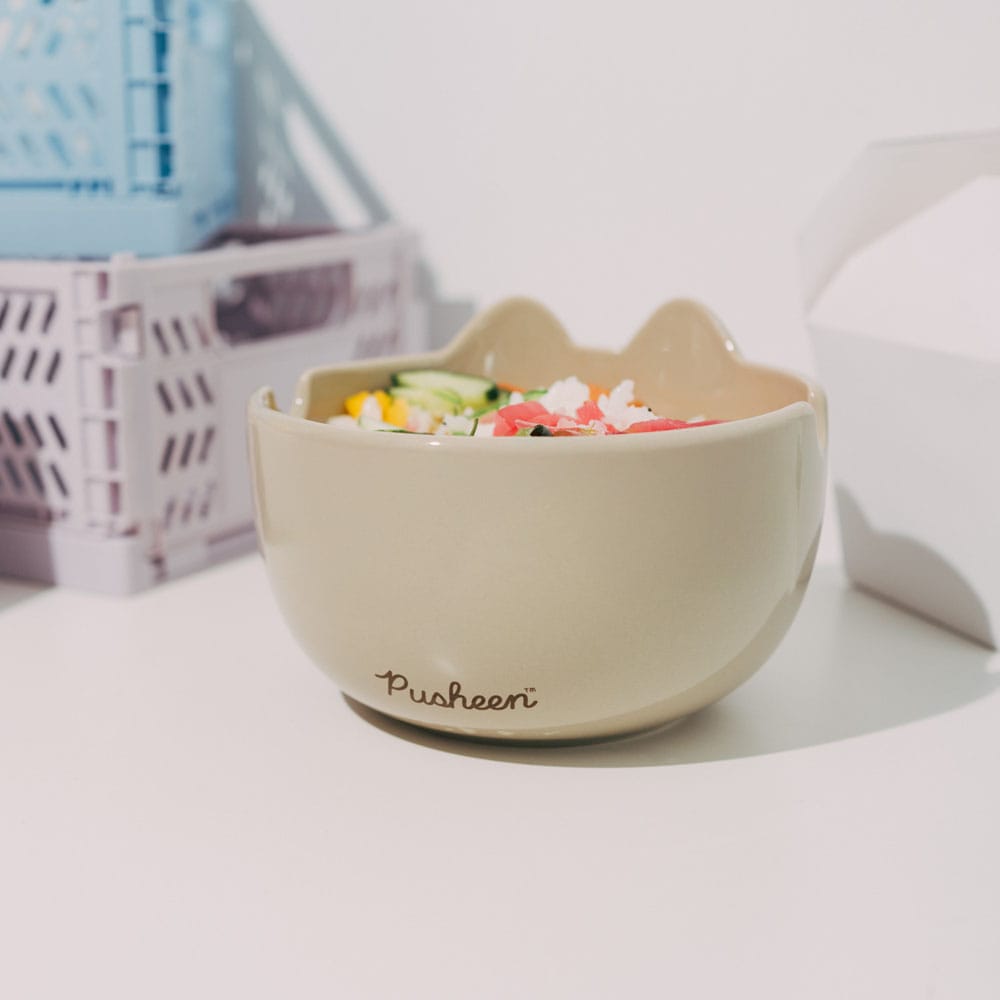 Pusheen Ramen Bowl Grupo Erik