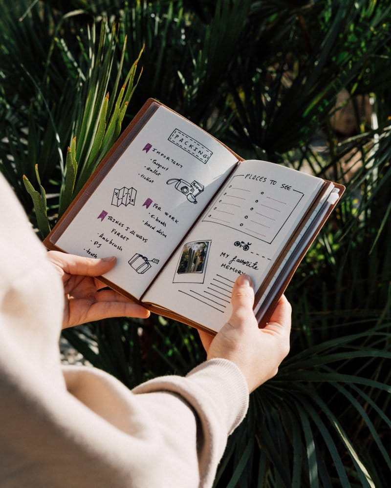 One Piece Travel Journal Grupo Erik