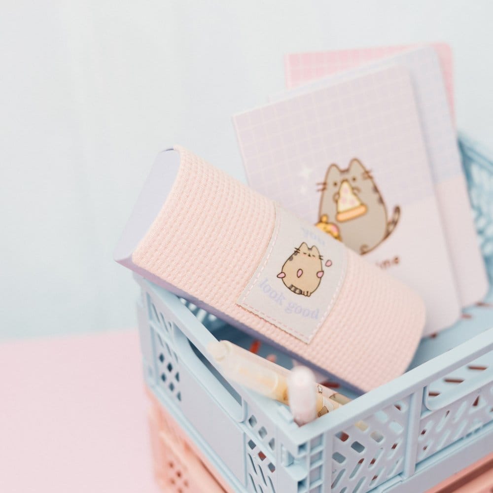 Pusheen Glasses Case Grupo Erik