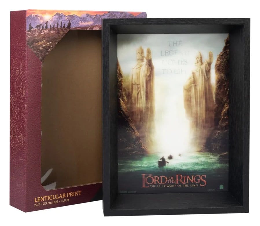 The Lord of the Rings Framed Print Grupo Erik