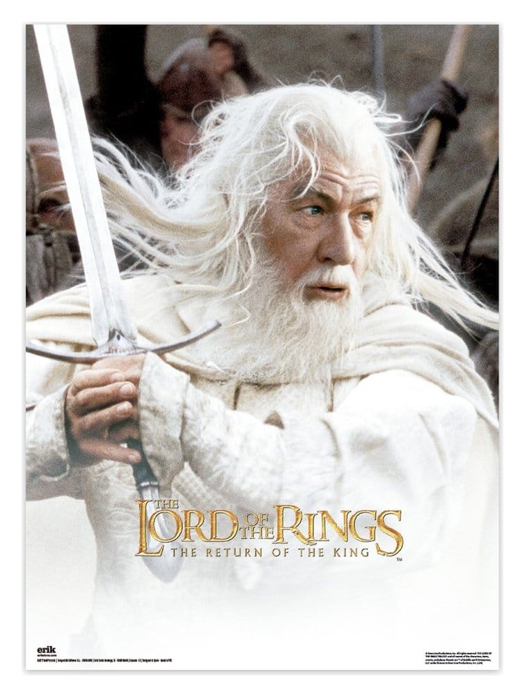 The Lord of the Rings PosterSet of 2 Grupo Erik